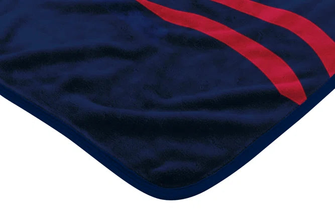 MLB Atlanta Braves Digitize Design Royal Plush Raschel Blanket