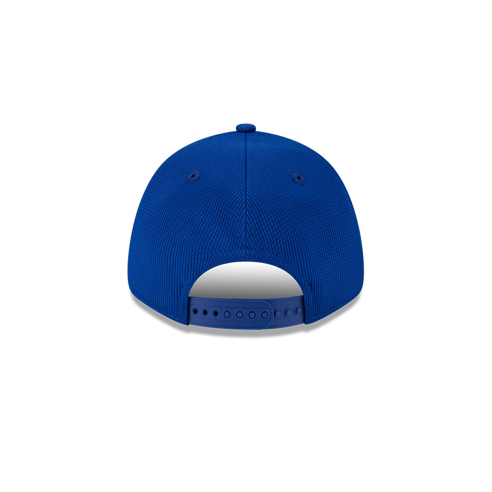 New Era MLB Men's Chicago Cubs 2024 Batting Practice 9FORTY Adjustable Hat