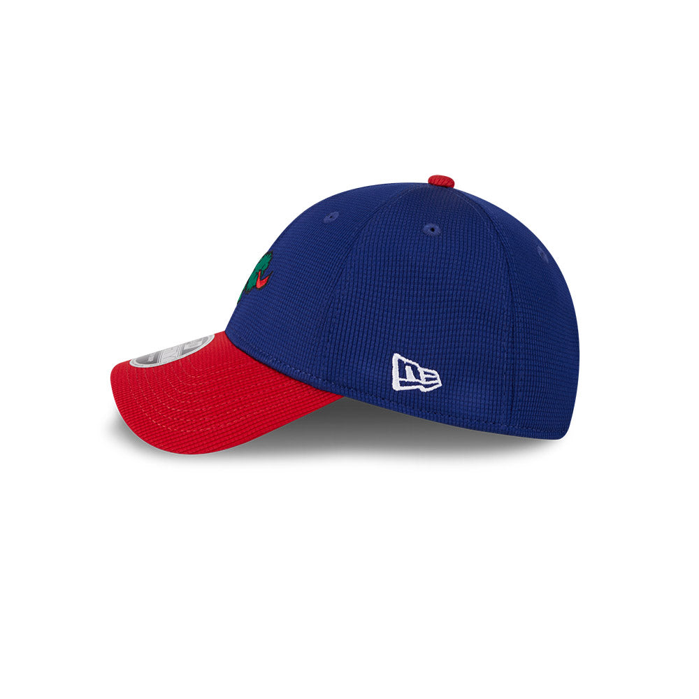 New Era MLB Men's Philadephia Phillies 2024 Batting Practice 9FORTY Adjustable Hat
