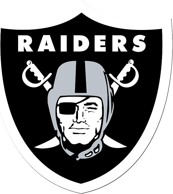 Siskiyou NFL Las Vegas Raiders Medium Team Color Auto Decal
