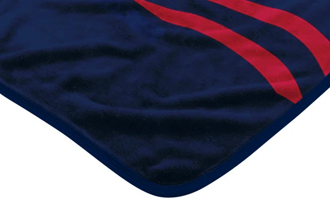 The Northwest Company MLB Atlanta Braves Digitize Design Royal Plush Raschel Blanket