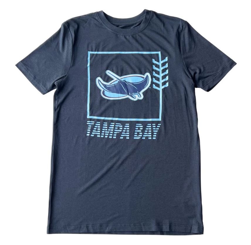 New Era MLB Men's Tampa Bay Rays 2024 Clubhouse T-Shirt