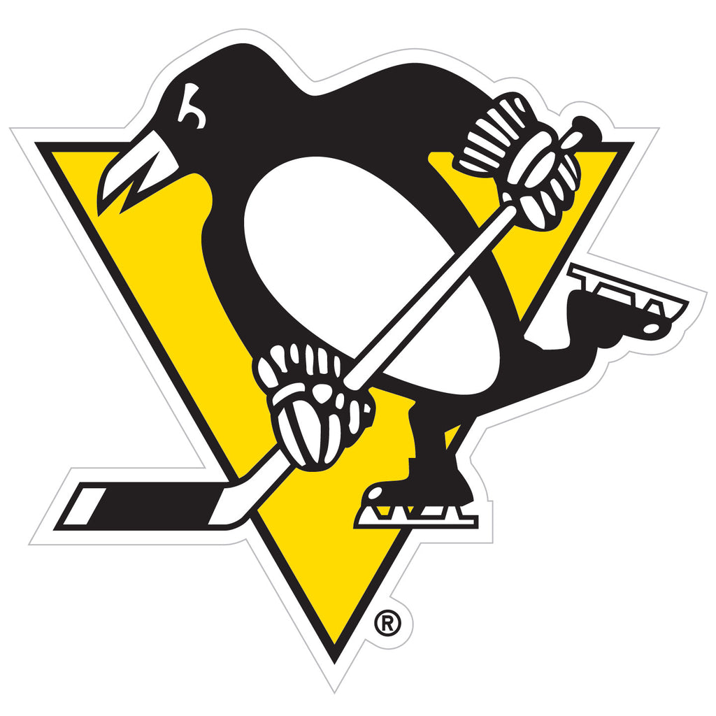 Siskiyou NHL Pittsburgh Penguins Medium Team Logo Magnet