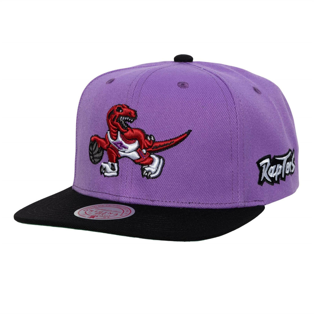 Toronto Raptors Mitchell And Ness Snapback Purple and Res Old School Logo