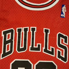 Mitchell & Ness NBA Youth Chicago Bulls Scottie Pippen 1995-96 Hardwood Classics Swingman Jersey