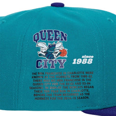 Mitchell & Ness NBA Men's Charlotte Hornets Team Origins HWC Snapback Adjustable Hat Teal/Purple