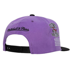 Mitchell & Ness NBA Men's Toronto Raptors Team Origins HWC Snapback Adjustable Hat Purple/Black