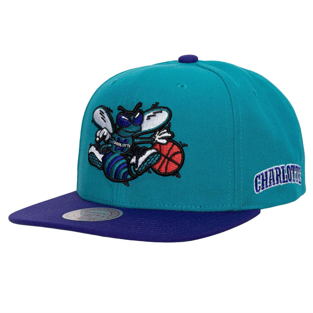Mitchell & Ness NBA Men's Charlotte Hornets Team Origins HWC Snapback Adjustable Hat Teal/Purple