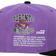 Mitchell & Ness NBA Men's Toronto Raptors Team Origins HWC Snapback Adjustable Hat Purple/Black