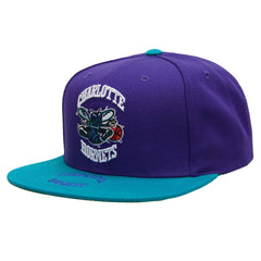 Mitchell & Ness NBA Men's Charlotte Hornets Logo Bill Snapback Adjustable Hat Purple/Yellow