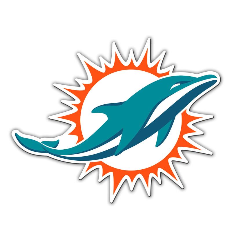 Fanmats NFL Miami Dolphins Large Team Logo Magnet 10"
