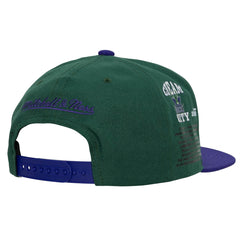 Mitchell & Ness NBA Men's Milwaukee Bucks Team Origins HWC Snapback Adjustable Hat Green/Purple