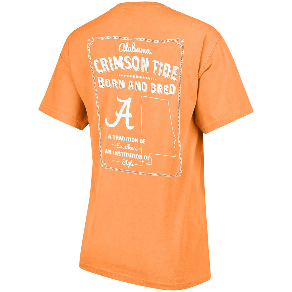 Pressbox NCAA Women's Alabama Crimson Tide Born & Bred State V-Neck T-Shirt