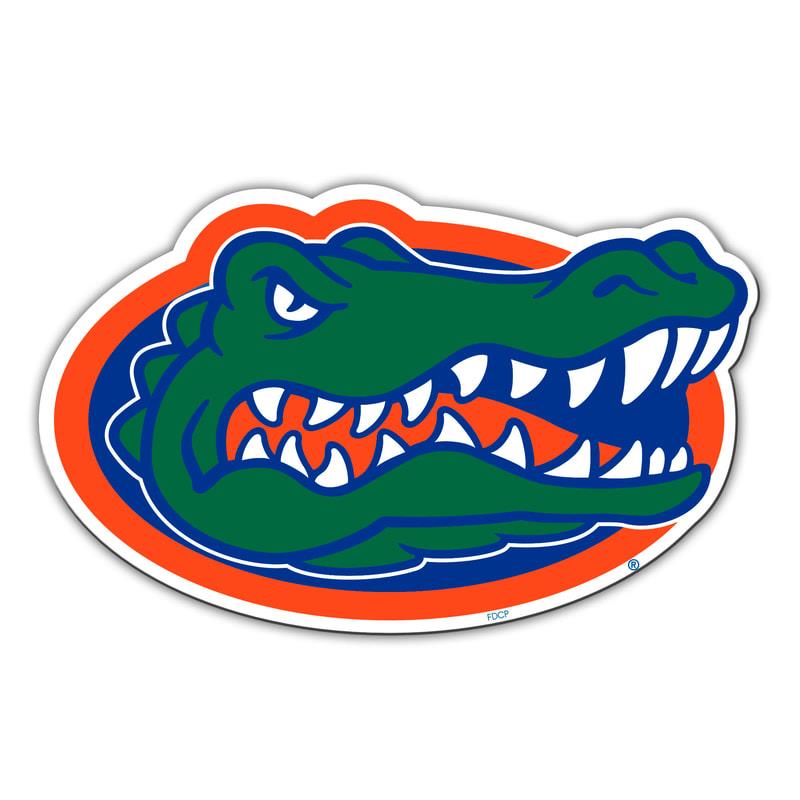 Fanmats NCAA Florida Gators Large Team Logo Magnet 10"