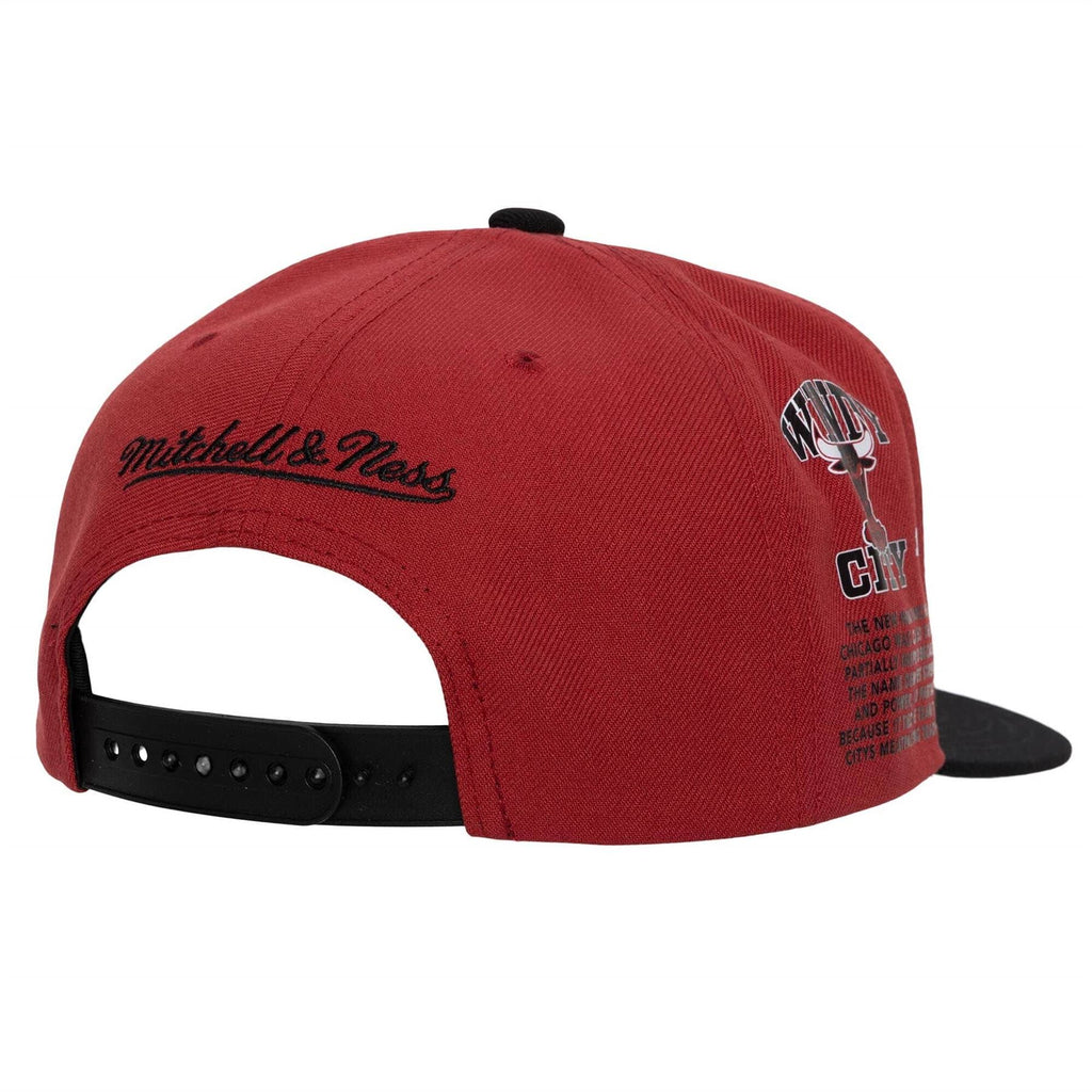 Mitchell & Ness NBA Men's Chicago Bulls Team Origins HWC Snapback Adjustable Hat Red/Black