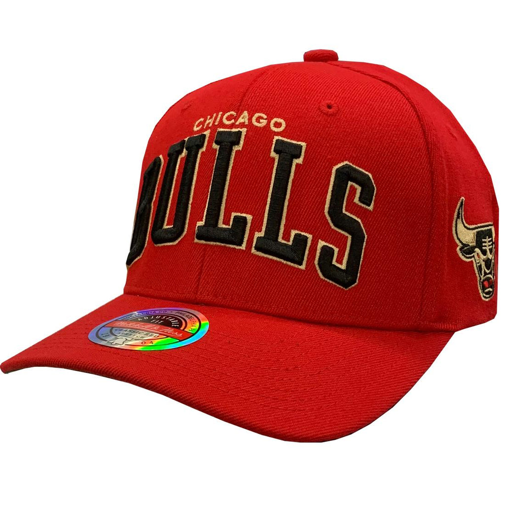 Mitchell & Ness NBA Men's Chicago Bulls The Champ Redline Stretch Snapback Hat Red OSFA