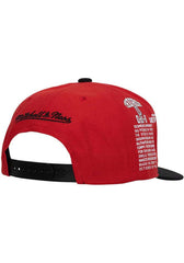 Mitchell & Ness NCAA Men's Ohio State Buckeyes Team Origins HWC Snapback Adjustable Hat Red/Black