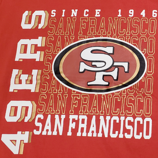 Starter NFL Men's San Francisco 49ers Established Stack T-Shirt